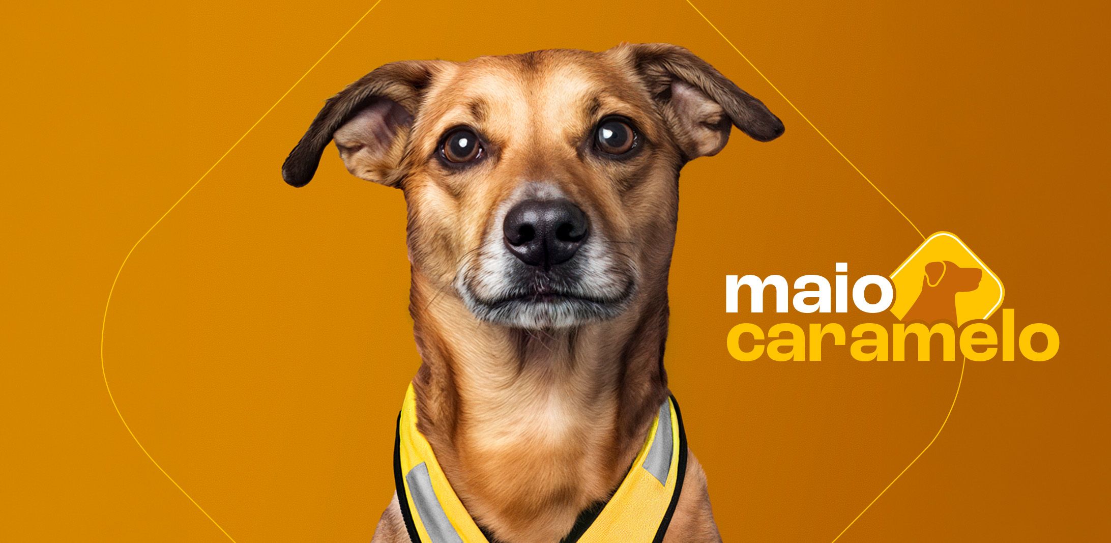 Honda leva cachorros caramelo ao Maio Amarelo