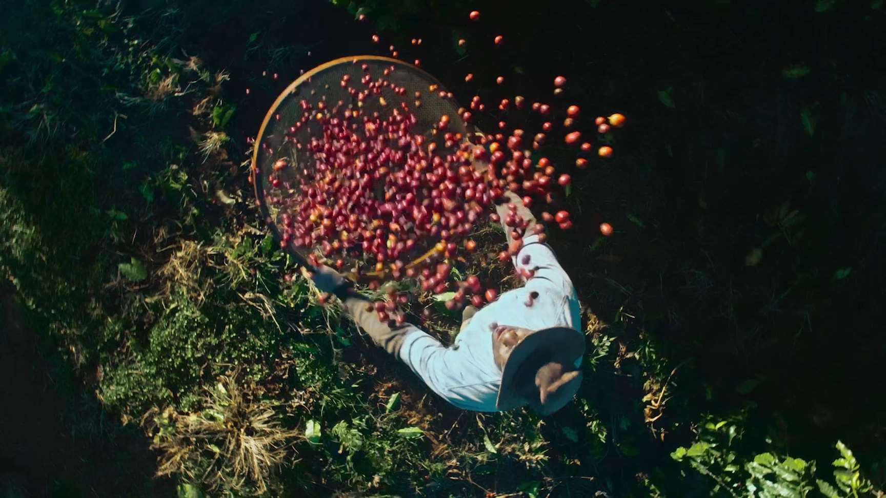 Nescafé exalta respeito ao café em nova campanha