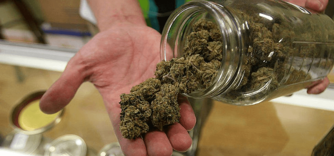 Uber dá seu primeiro passo no mercado de cannabis