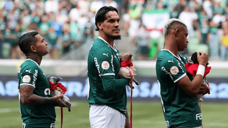 Palmeiras e Mars Petcare se juntam em ação contra o abandono e maus-tratos de animais