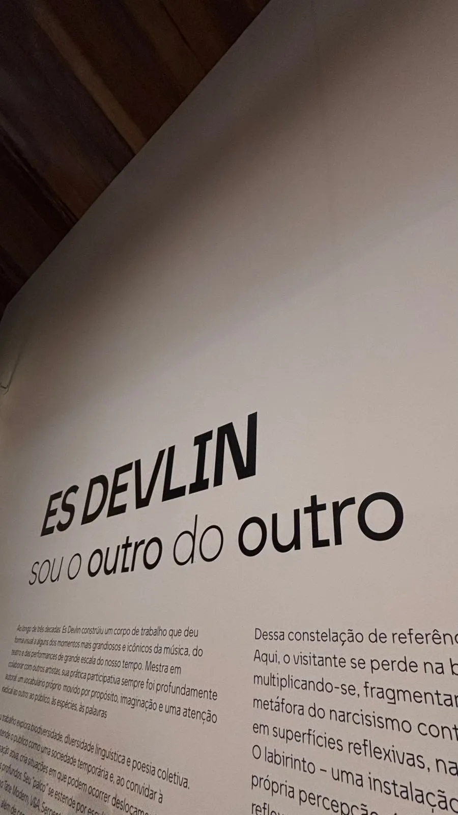 A arte que atravessa: o convite ao desfoque e ao encontro na obra de Es Devlin