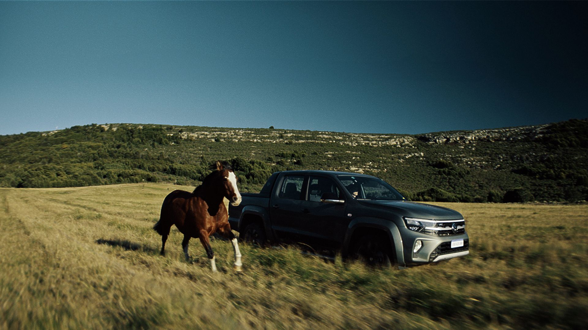 VW mostra relação da Nova Amarok com um cavalo