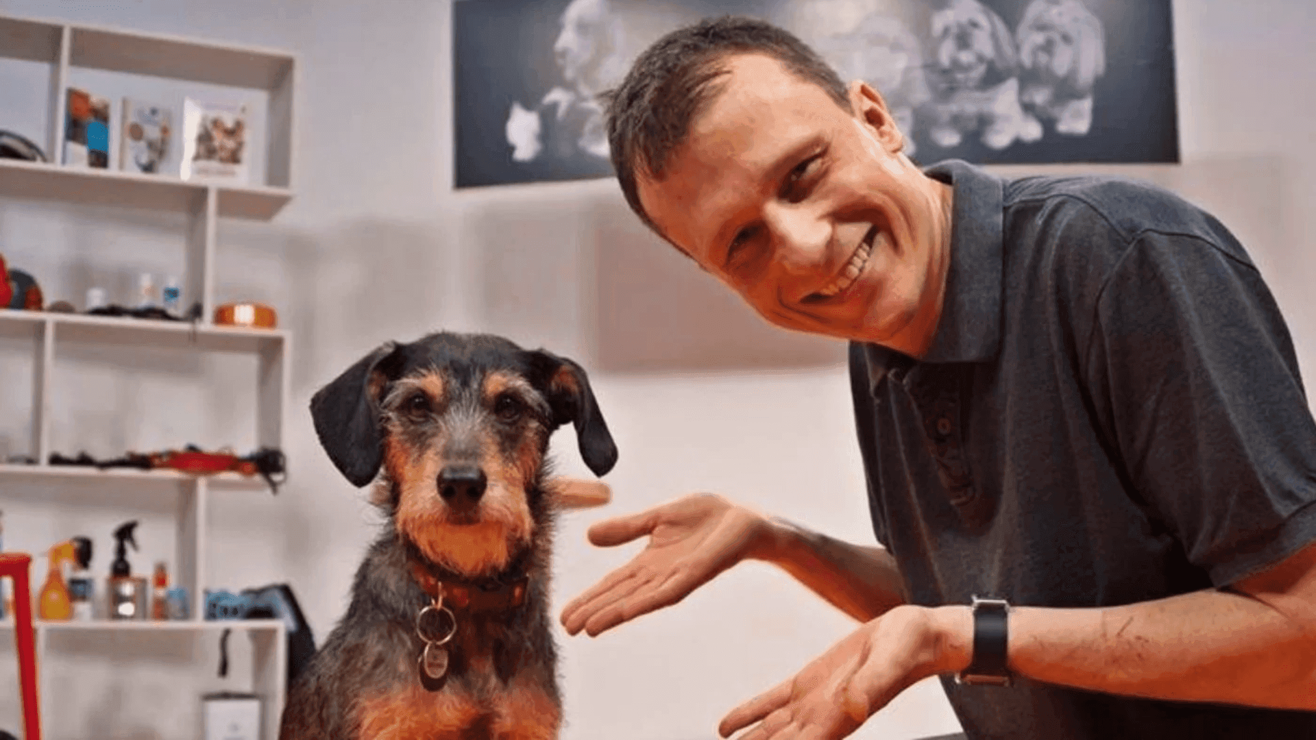 Brasil perde Estopinha, primeira influencer e estrela da publicidade pet