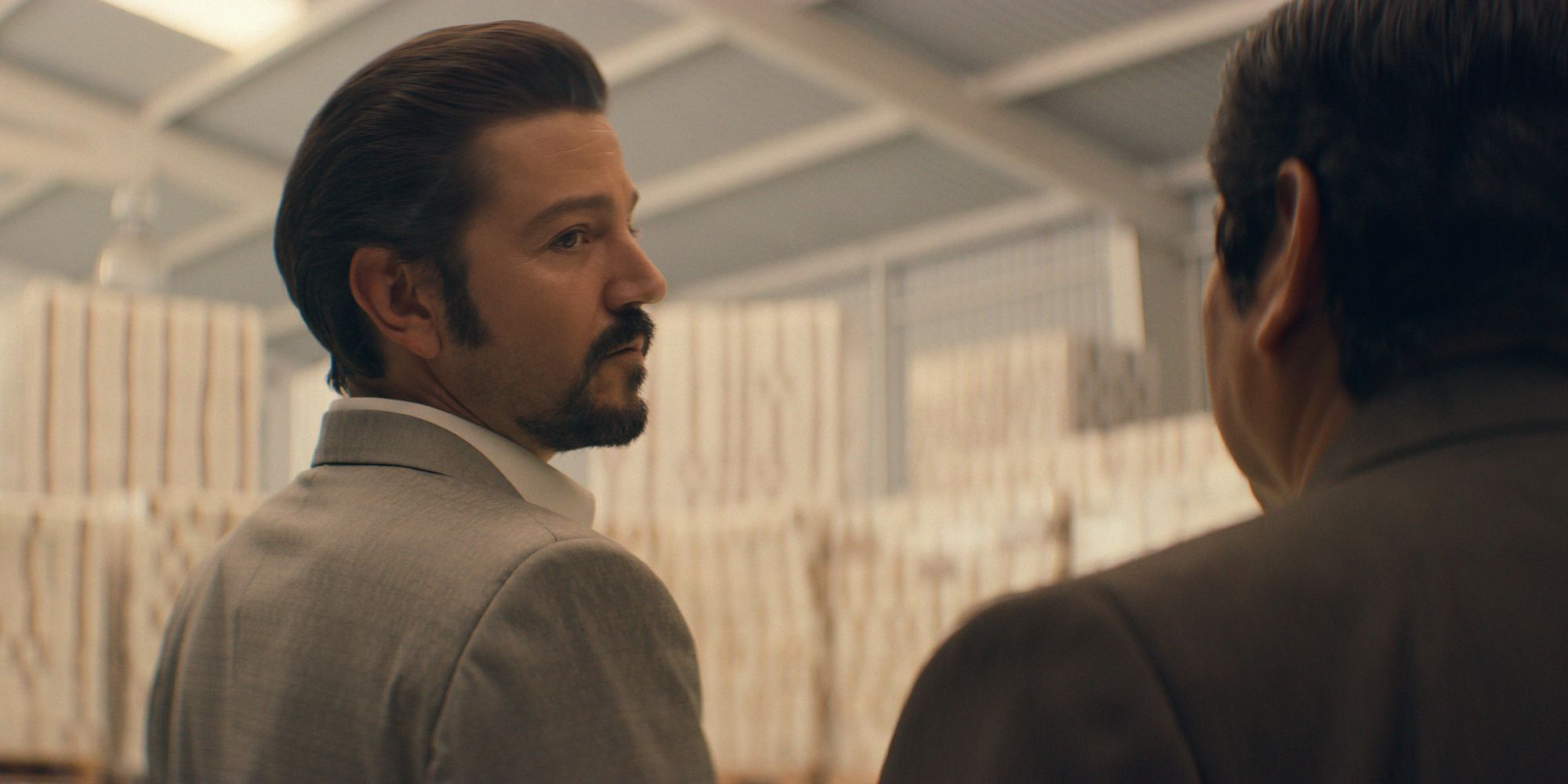 narcos-mex-209-sg-00071r-1576607250.jpg