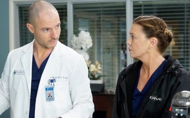 greys-anatomy-richard-flood-ellen-pompeo-632x395.jpg