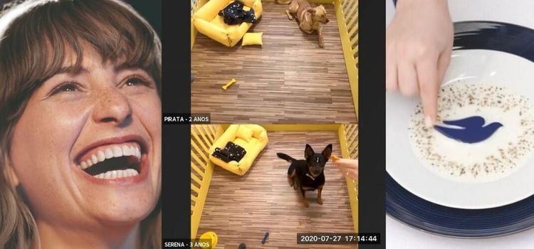 Top Publi: Confira as melhores campanhas da semana!