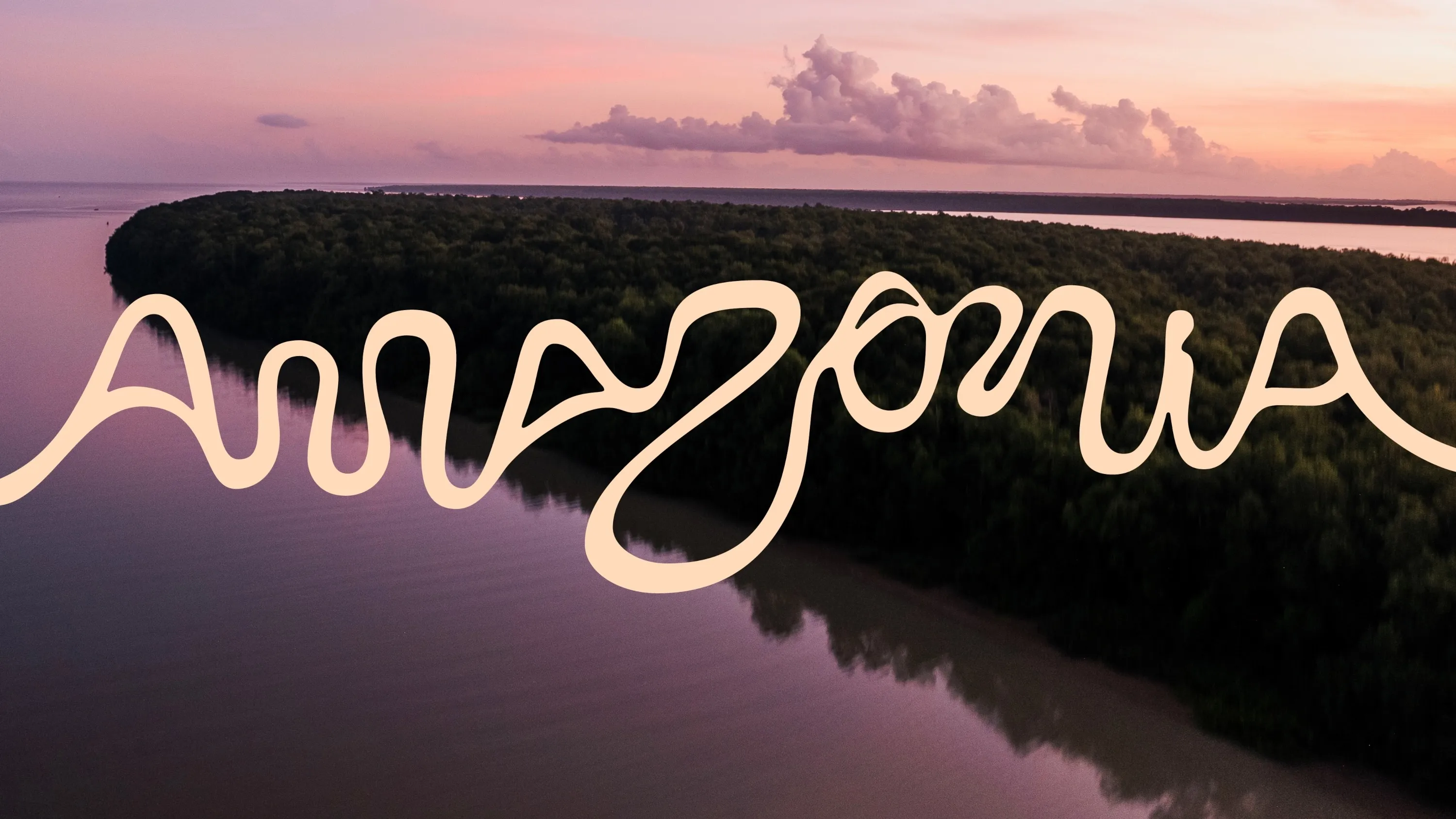 Amazônia Brasileira unifica esforços com marca inédita para impulsionar turismo e bioeconomia