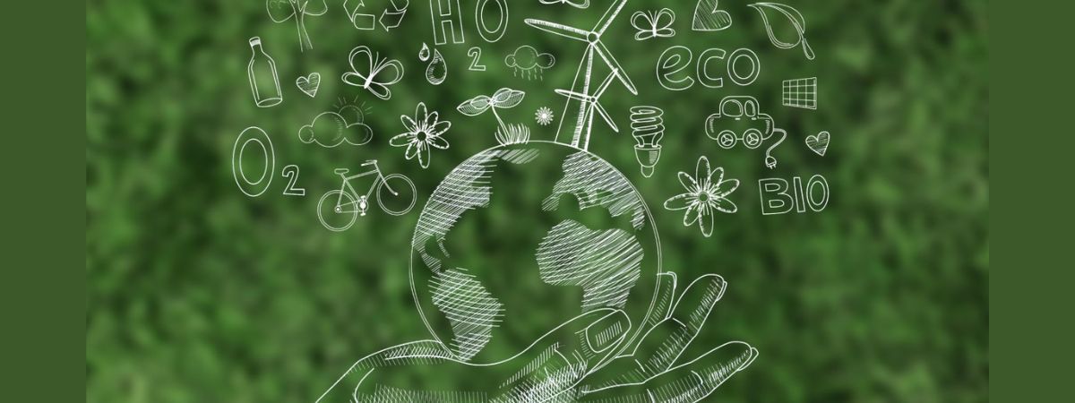ESG no Brasil: estudo com CEOs mostra gap entre importância e conhecimento