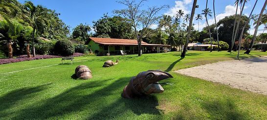CASA-CARAS-VERAO-PERNAMBUCO_-FotoExecutiva.FOTO1_.jpg