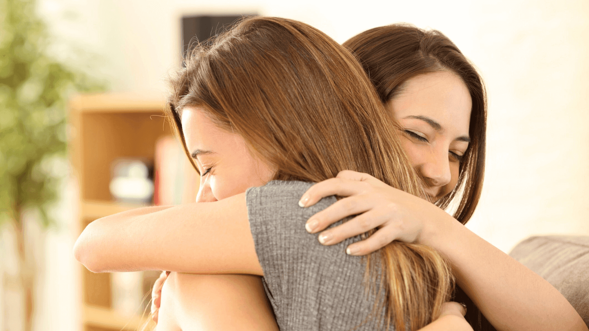 Saber perdoar é uma inteligência humana que afeta todas as relações