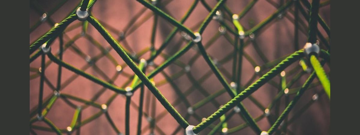 Será que está na hora de investir nessa Altcoin?