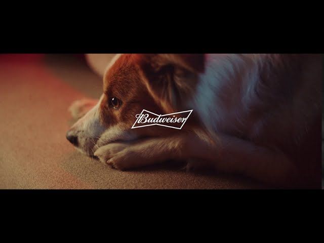 Budweiser garante trono para todo mundo durante as Finais da NBA