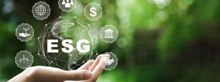 Valores e ações em ESG impactam fidelização de clientes em diferentes segmentos