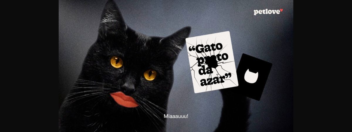 Petlove traz gata conselheira, adoção de gatos pretos e descontos na sexta-feira 13