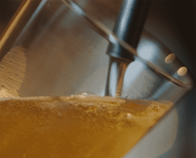 Zeca Pagodinho também está “Em Busca da Cerveja Perfeita”