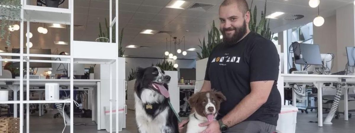 Animais de estimação vão ao trabalho em escritórios internacionais