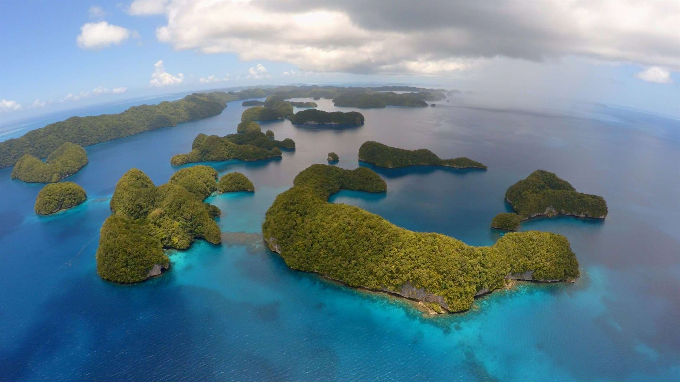 Love Nature 4K e TV Cultura se unem para exibir conteúdos inéditos