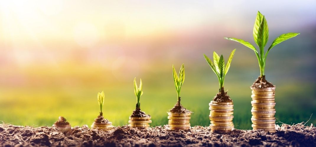 Como começar a investir do zero?