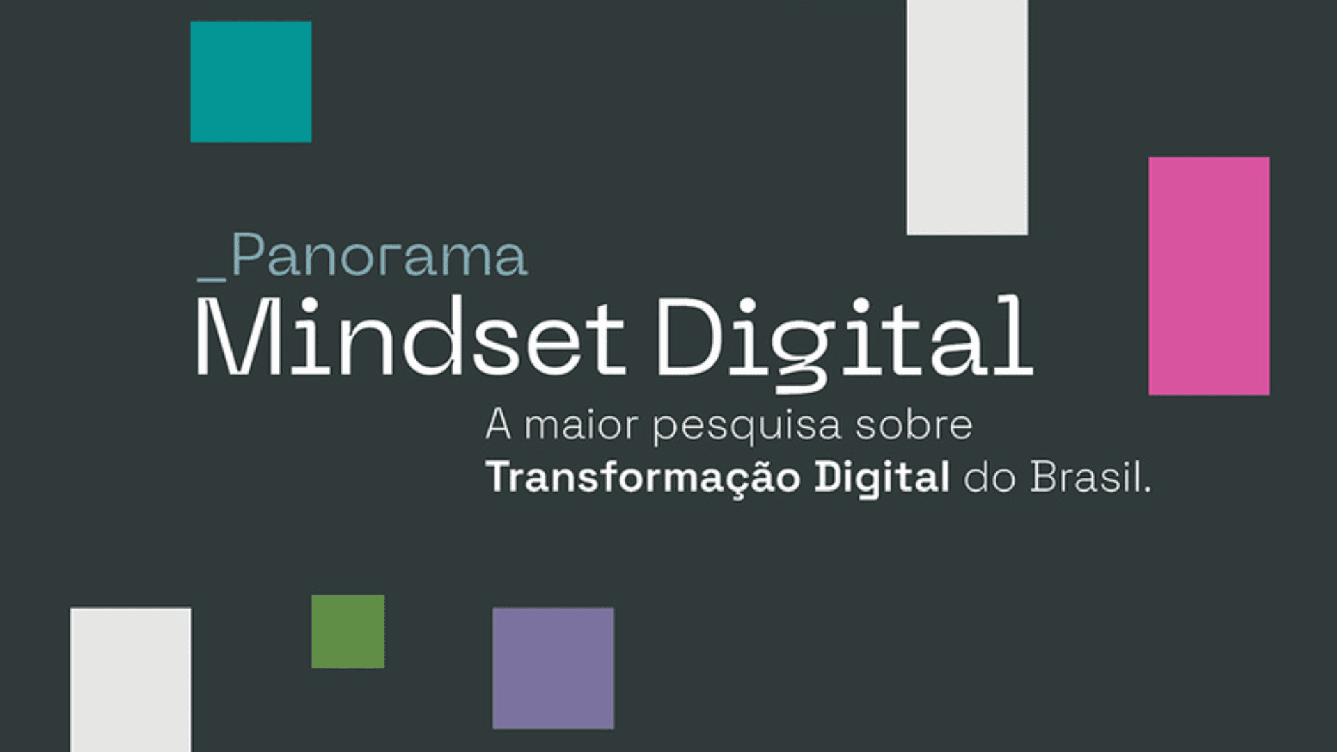 Brivia apresenta pesquisa sobre transformação digital no Brasil em novo livro